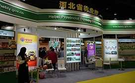 WOP IPM 2016